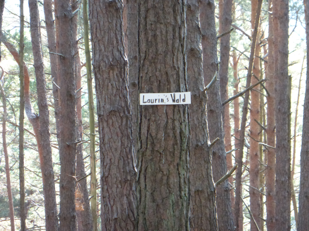 Nur Bäume (ohneKronen und Wurzeln, auch der Boden ist nicht zu sehen) und ein Schild mit der Aufschrift 